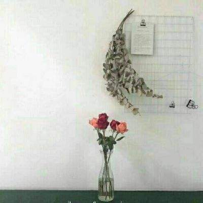 开元549棋app下载